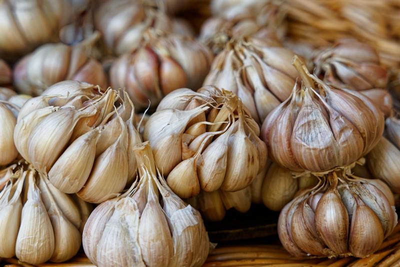 Whole garlic bulbs