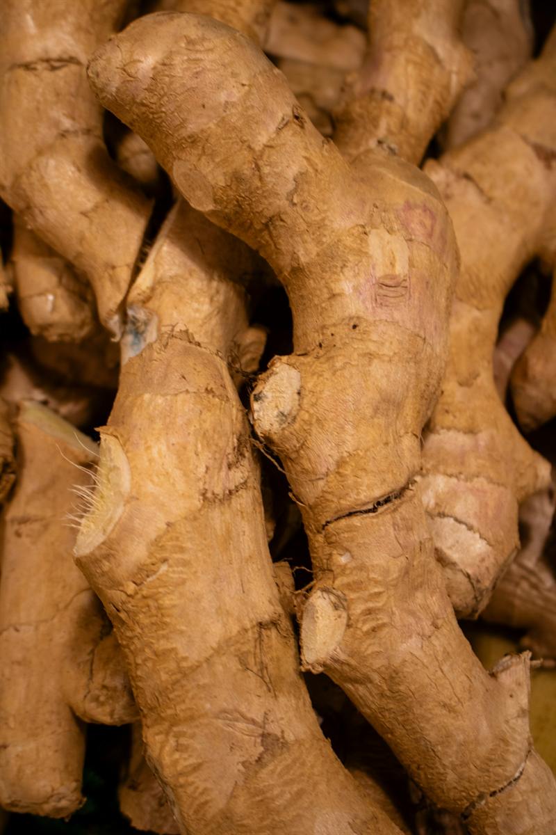 Fresh ginger roots